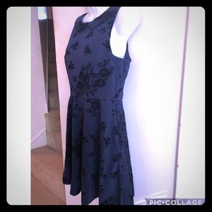 New Lauren Conrad Dress